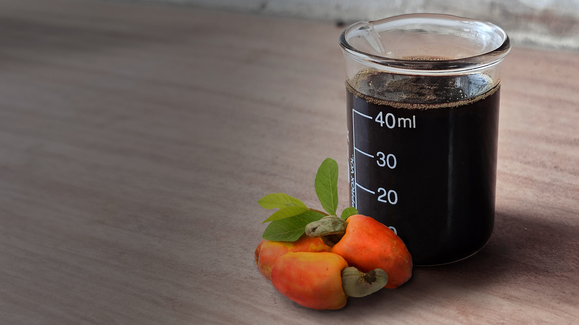 Bio-based polyols for industrial use